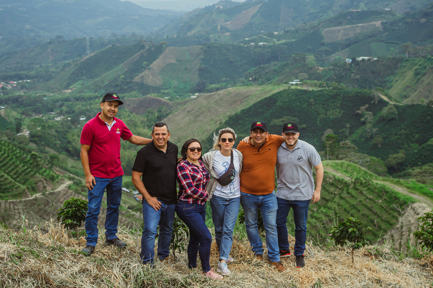 Colombia - El Mirador Strawberry